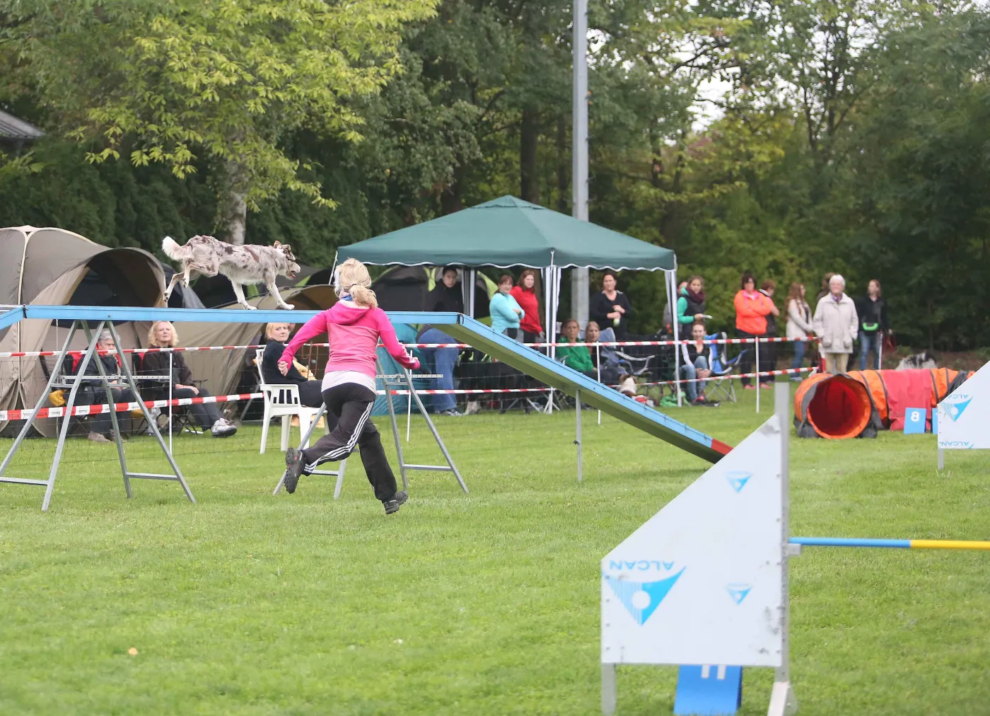 Hund auf dem Laufsteg bei einem Agility-Turnier