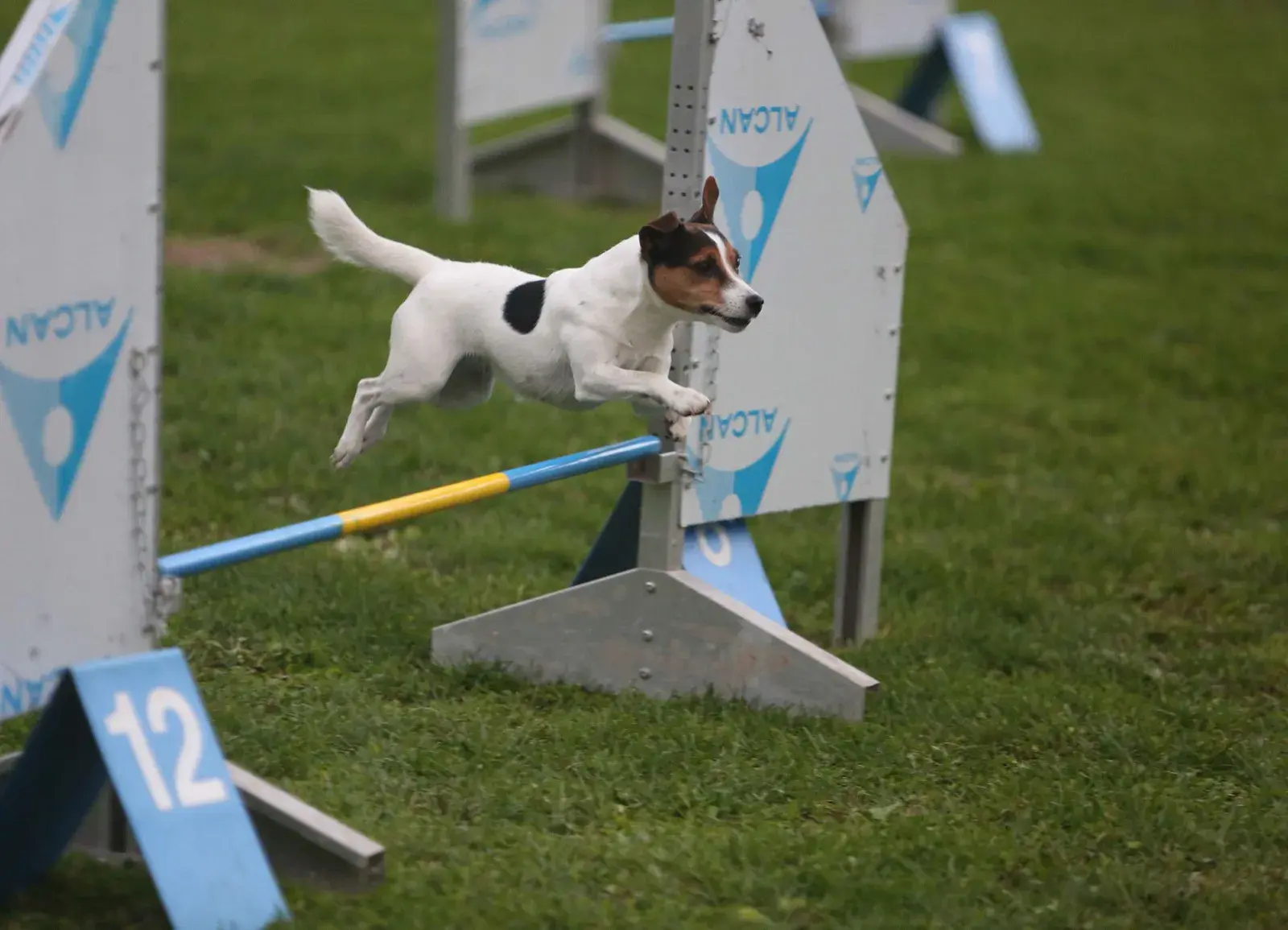 Agility