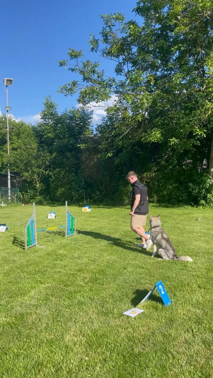 Rally Obedience